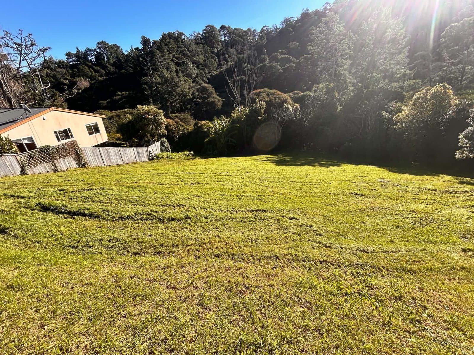 The same lawn flail mown by Connie to a clean even finish