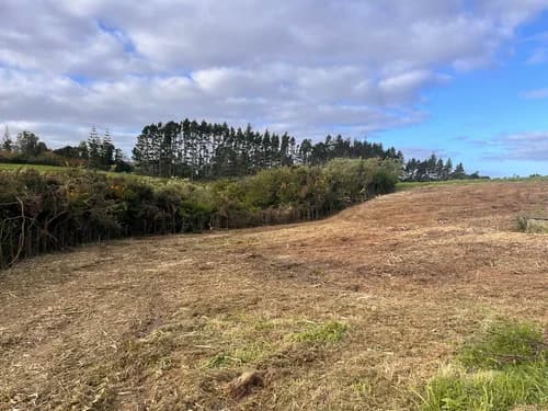 The boundary fence line cleared and accessible again