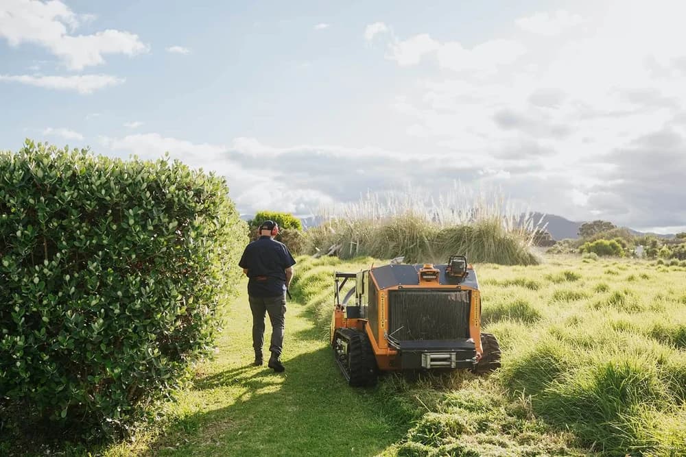 A GRazer NZ remote-controlled mulcher clearing dense vegetation on a North Island property